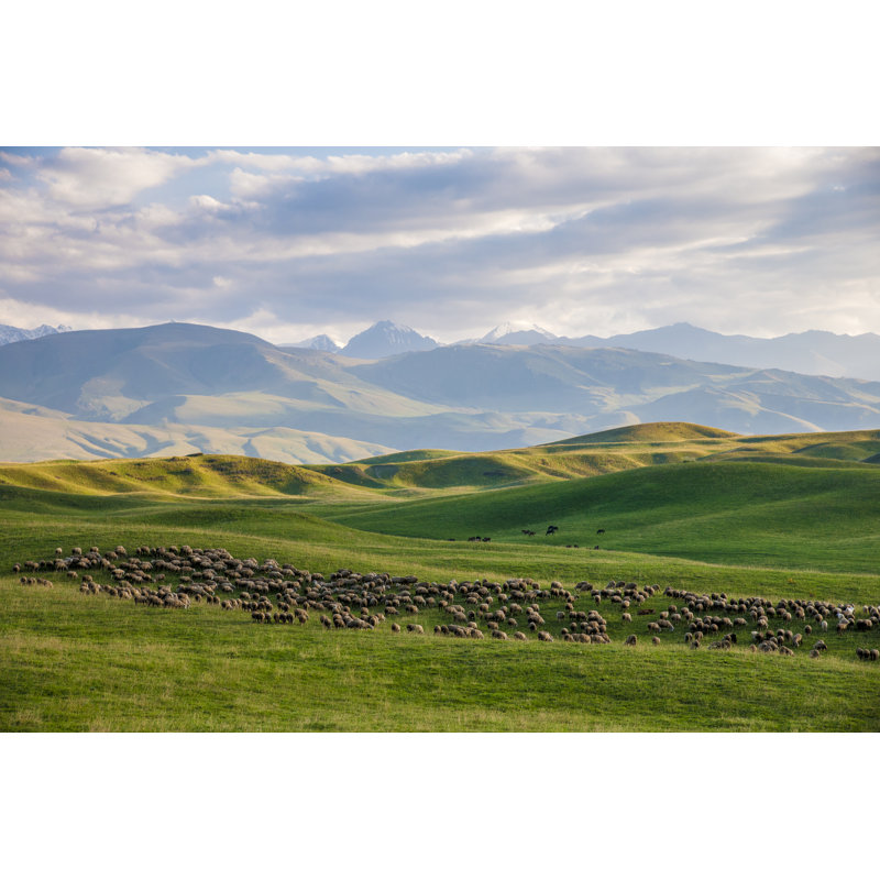 Harvell Flock Of Sheep by Alesia Belaya - Wrapped Canvas Print, 30cm H x 46cm W x 3.8cm D
