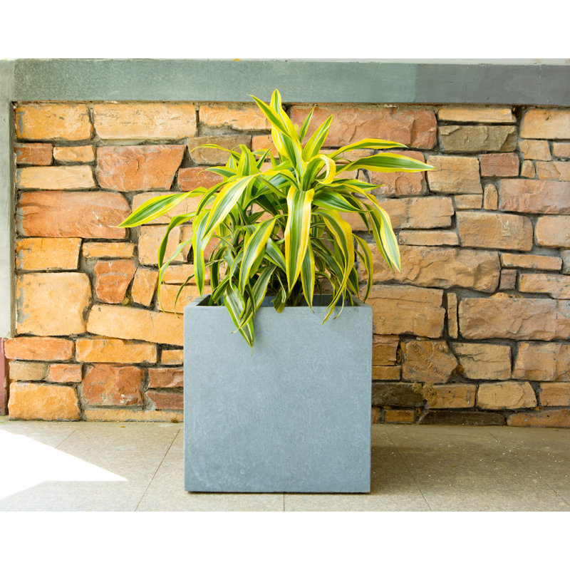 Boîte à fleurs en béton Wabbaseka, Ciment, H 16 po x l 16 po x P 16 po