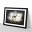Border Collie Dog at the Beach - Picture Frame Painting Print-56855233-56855238