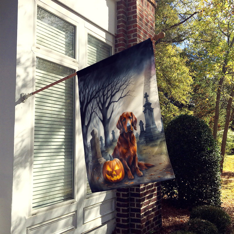 Double Sided 40'' H x 28'' W Polyester Halloween House Flag