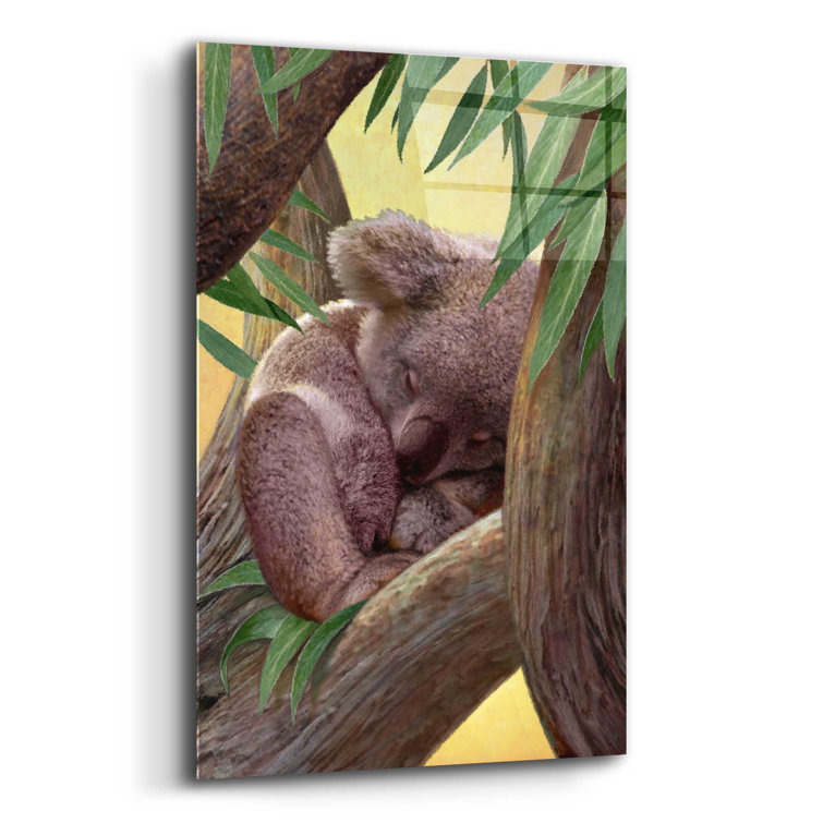 Koala Art – Whitehouse Art