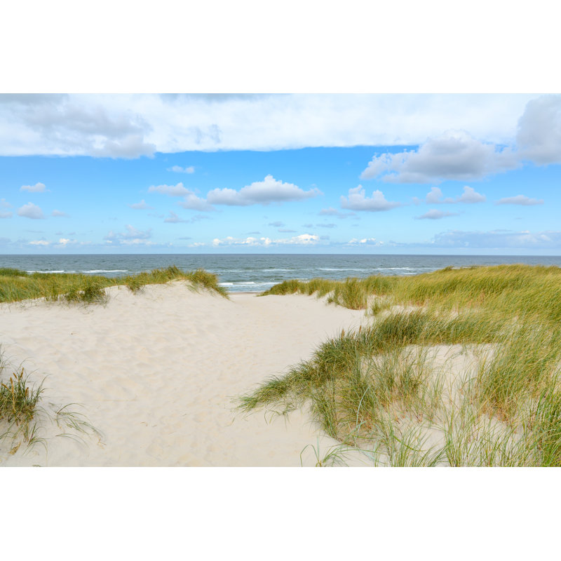 Borowski Beach And Sand Dunes by Ah_fotobox - Wrapped Canvas Print, 51cm H x 76cm W x 3.8cm D