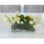 Real Touch White Tulips Wide Square Arrangement