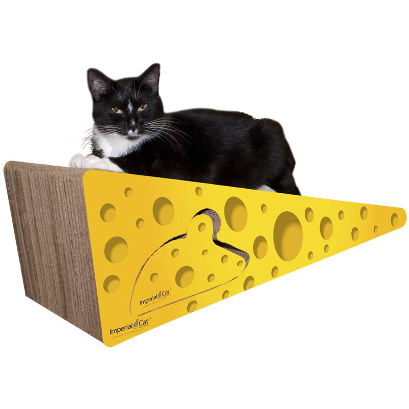 Planche à gratter en papier recyclé en fromage géant Anton