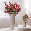 Tige de rose sec-75464227