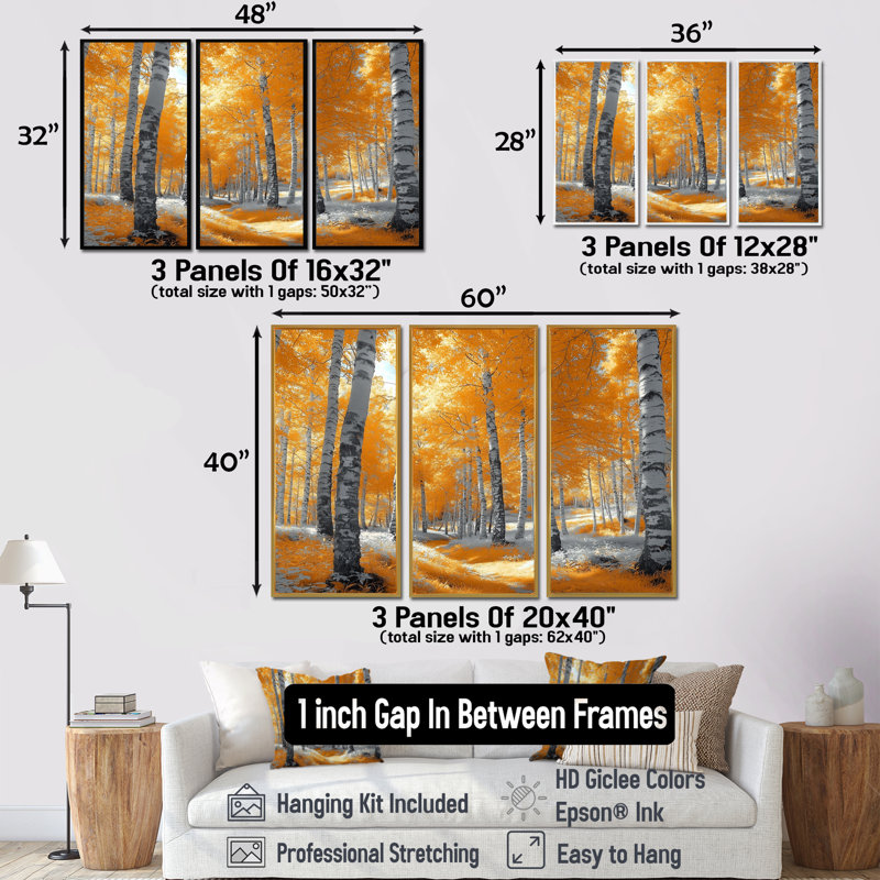 «Autumn Birch Trees Forest Path Panorama II», ensemble de reproduction d'art mural forêt, H 28 po x l 36 po x P 1 po
