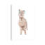 «Llama Silly» par Wandering Laur - impression d'art graphique-52875597-52875596-52875595