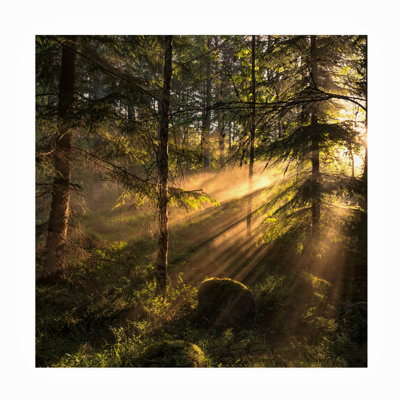 Toile extérieure «Sunrays» de Tyrese Christian Lindsten