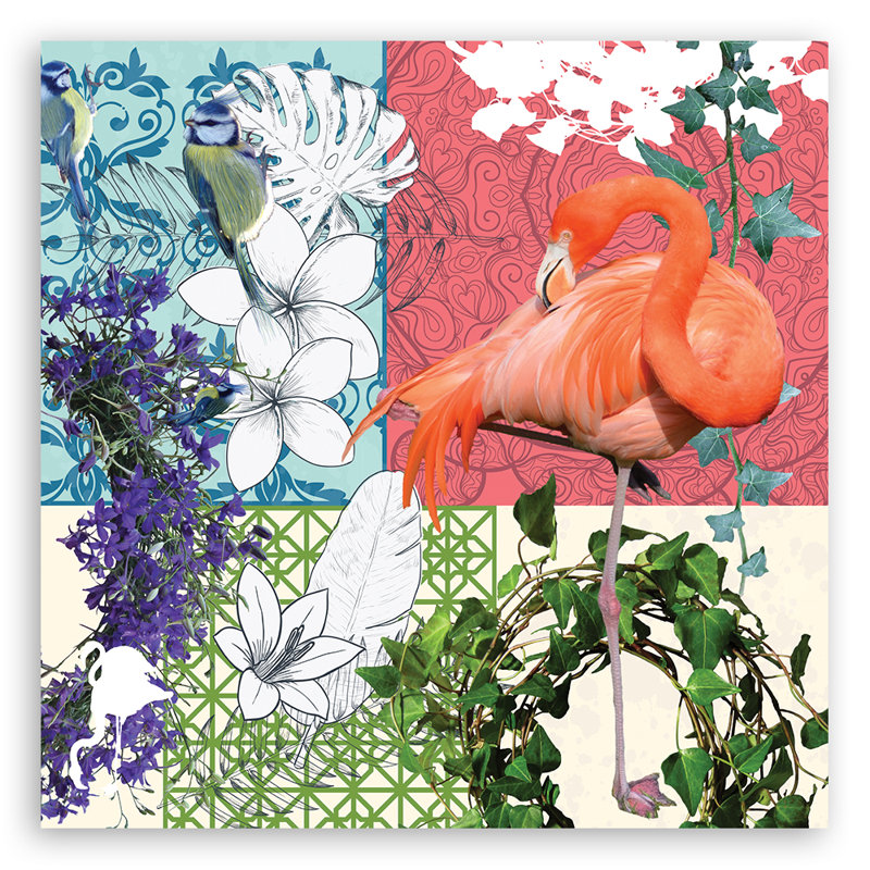 Picture, Flamingos And Birds Collage - No Frame Print on Canvas, 30cm H x 30cm W