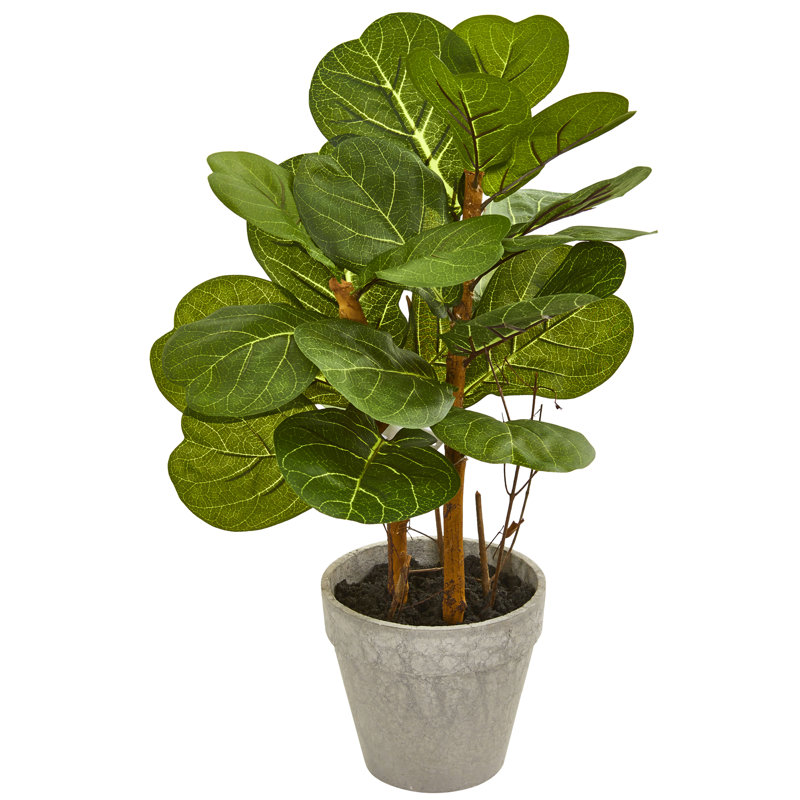 22 " H Faux Fiddle Leaf Fig Plant in Plastic Planter