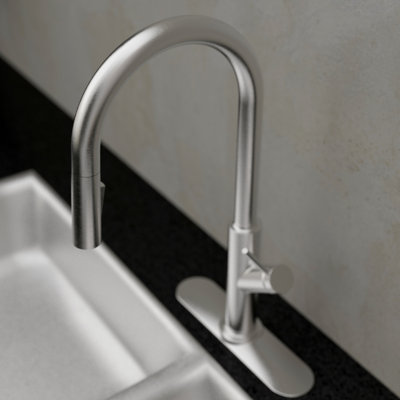 Keeney Pull Down Kitchen Faucet