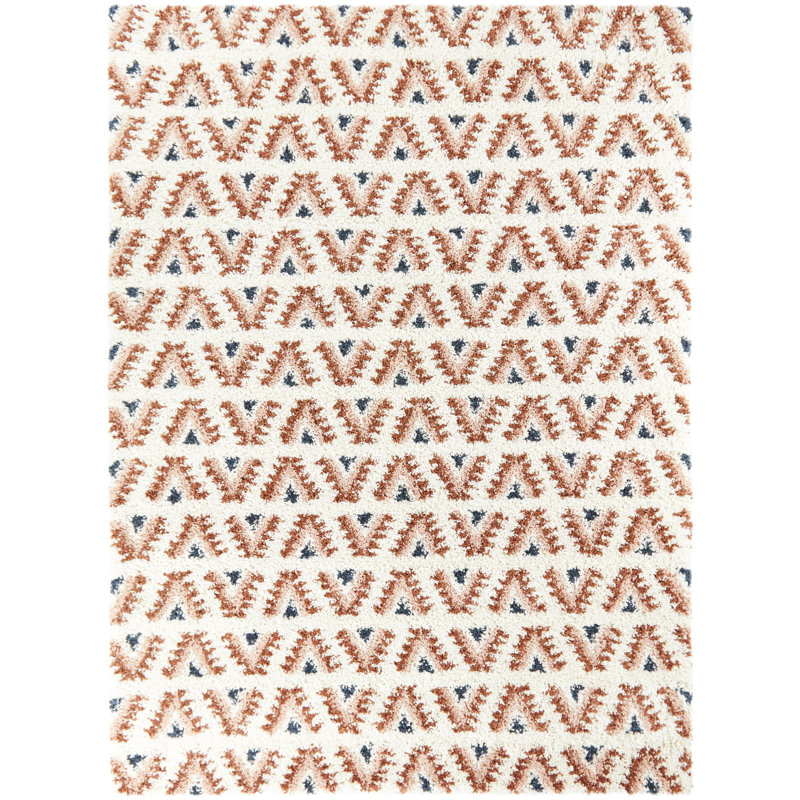 Tapis à poils longs Setrag, Rectangle 5 pi 3 po x 7 pi