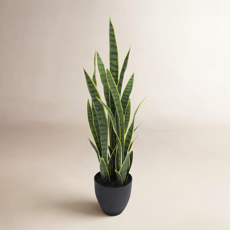 Plante de serpent artificielle Sansevieria en pot, H 34 po x l 12 po x P 12 po