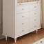 Armoire de rangement artistique de style français-805232080