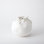 Cascading Reef Vase-White-Short