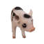 Statue bébé cochon debout-120494330