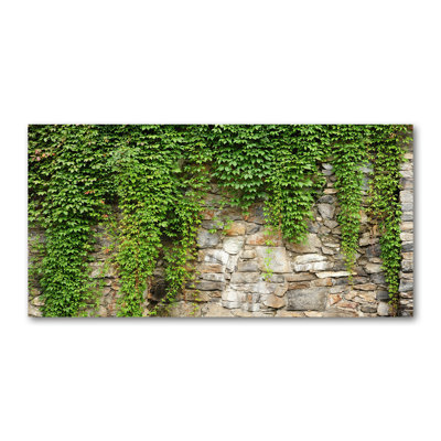 Green Ivy - No Frame Print on Canvas