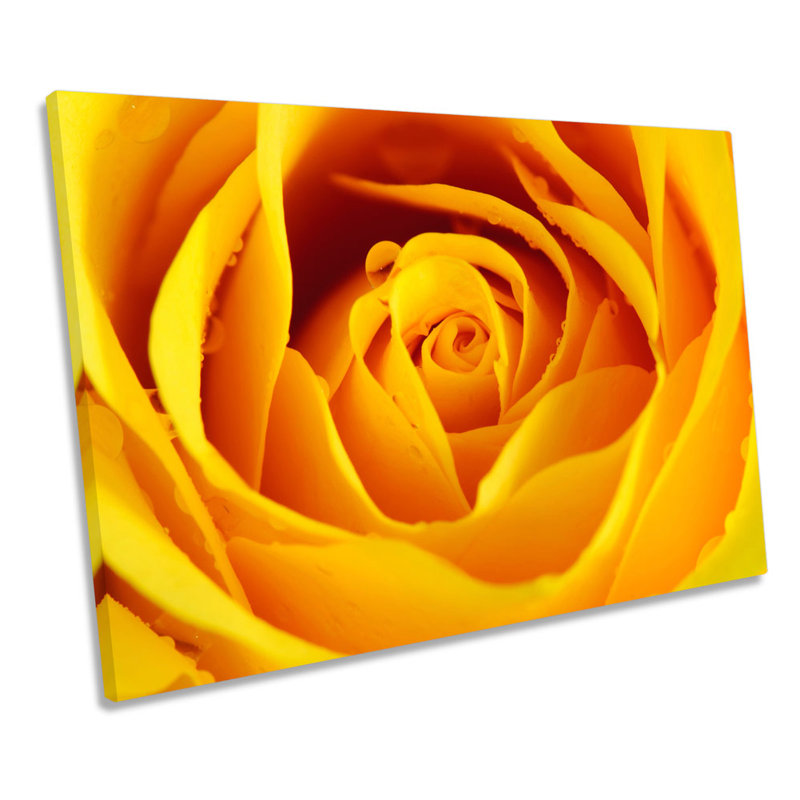 Yellow Rose Floral Flower - Wrapped Canvas Print, 91.4cm H x 137.2cm W x 4cm D