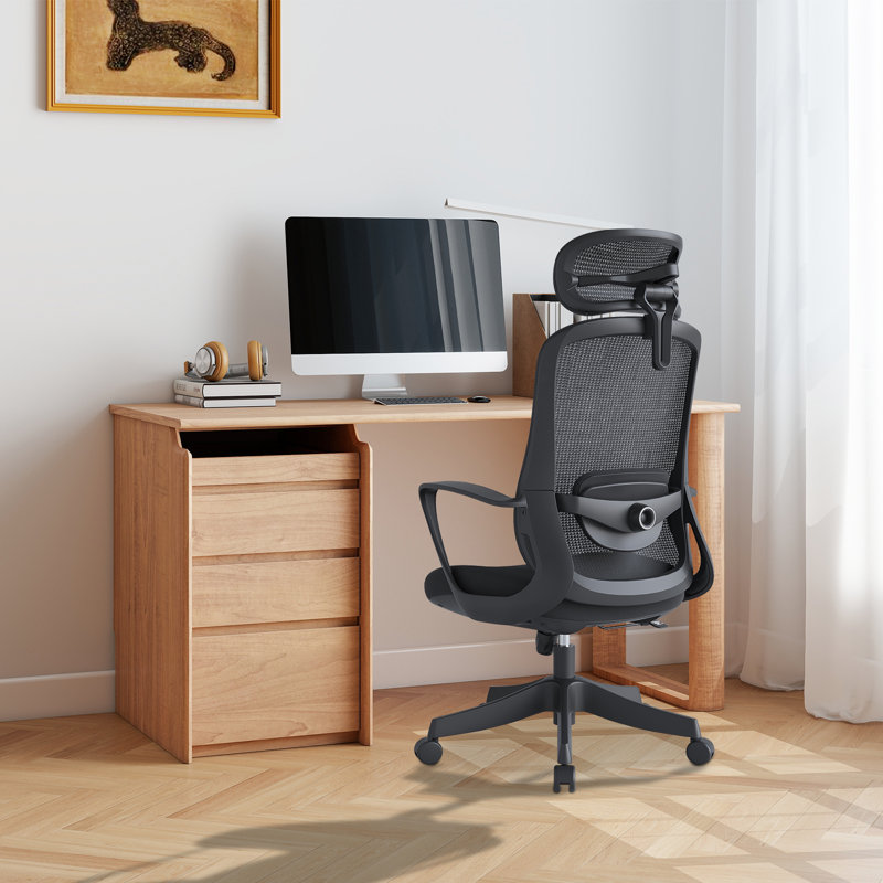 Ergonomic Office Chair, Gaming Chair with Adjustable Lumbar & Headrest, Executive Office Chairs for Long Hours, Comfy Desk Chairs with Wheels, Black