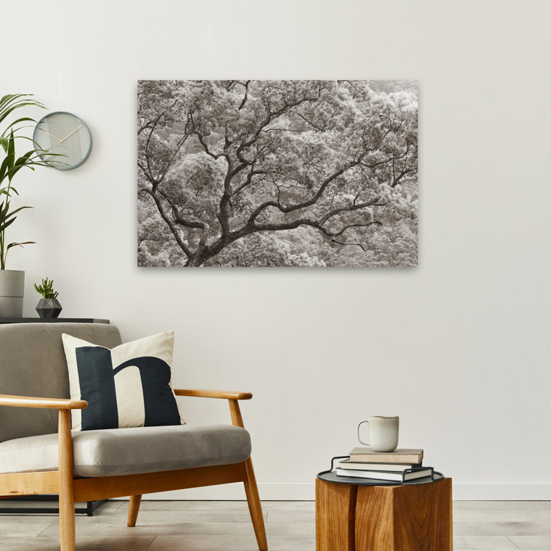 Photographie neutre contemporaine Koi No Ki, H 36 po x l 24 po