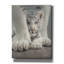 «Shelter» par Collin Bogle, art mural sur toile-486523221