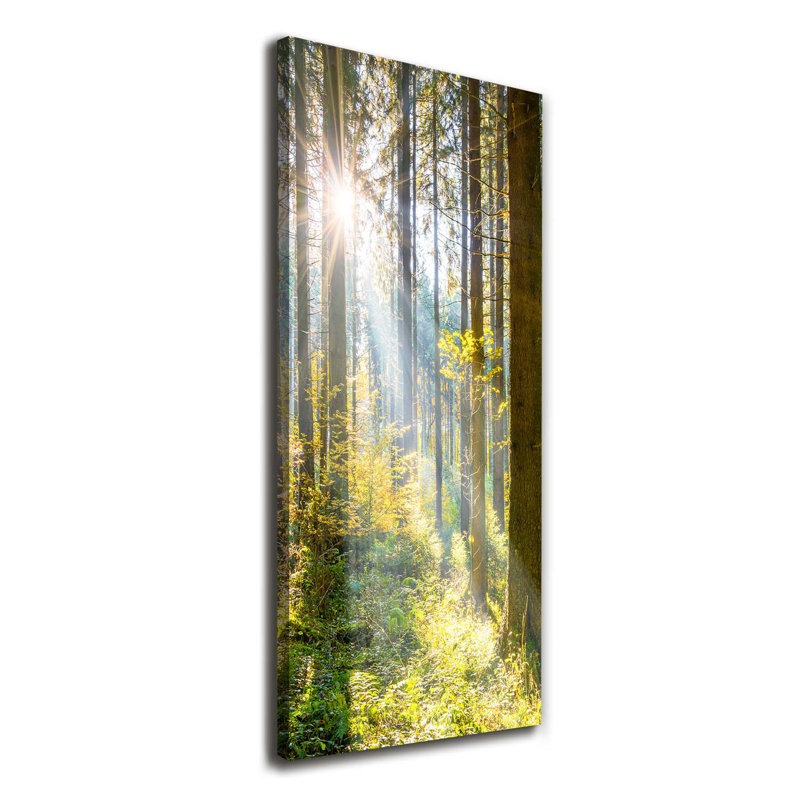 Sun In The Forest - Wrapped Canvas Print