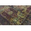 Hand Woven Wool Oriental Area Rug