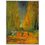 Vincent Van Gogh - Wrapped Canvas Painting-21212442