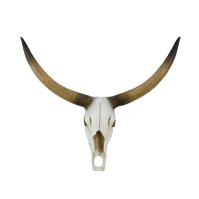 Kriya Sculpture, Longhorn Bull Skull Curved Horns, White Resin 19 Inch