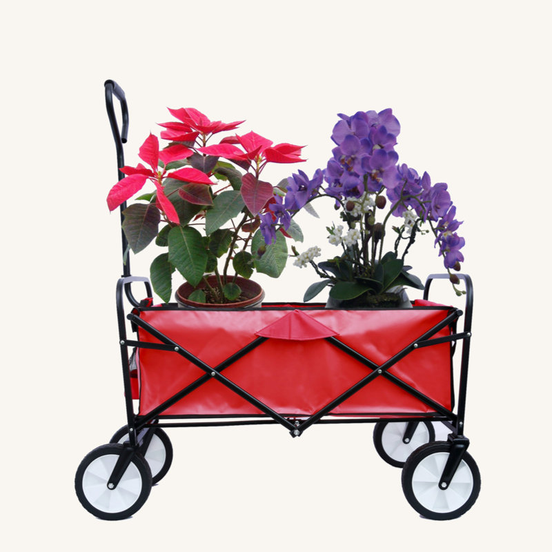 Folding Wagon Garden Shopping Beach Cart