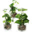 22cm Faux Evergreen Plant in Glass Pot