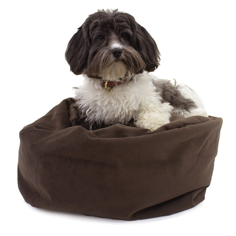 Lit pour chien polyvalent Transformer, Chocolat
