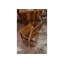 Duke 40cm H Solid Wood Side Chair