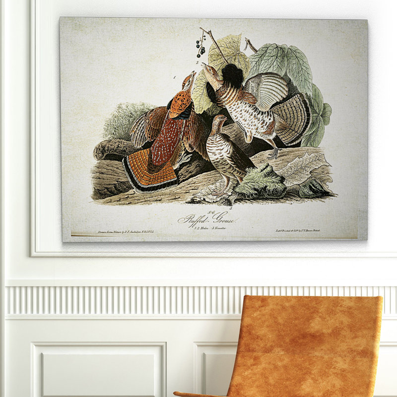 « volière drawing v », impression, H 32 po x l 48 po x P 1,5 po, Pas de tapis, Toile tendue