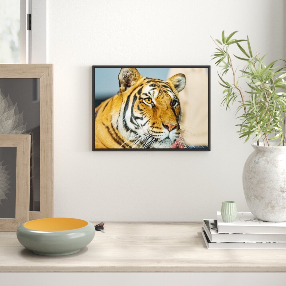 Gerahmtes Wandbild schöner Tiger