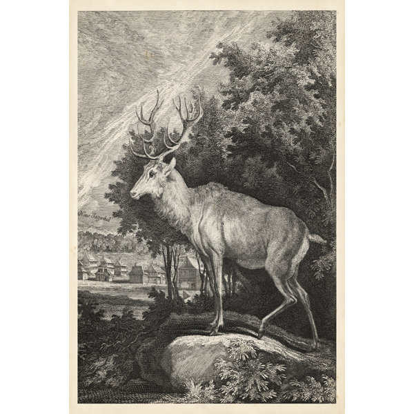 Union Rustic Woodland Deer II - Wrapped Canvas Print | Wayfair.co.uk