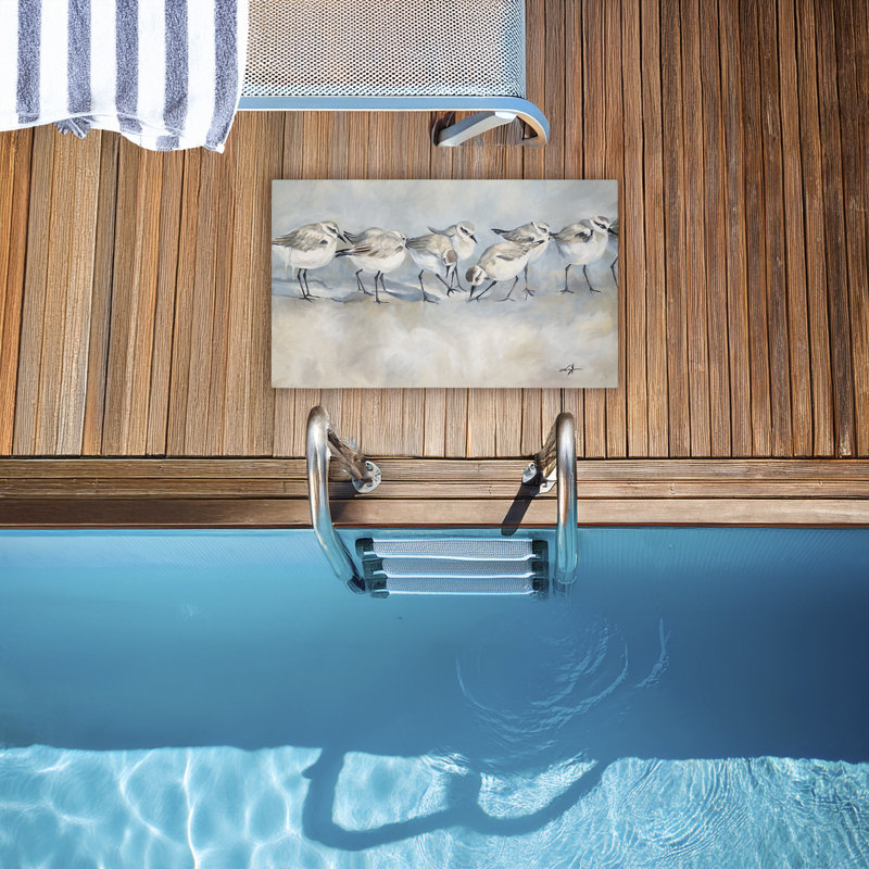 Paillasson Shore Birds In A Line, par Ramona Murdock, 18 po x 30 po, Oiseaux de rivage en ligne