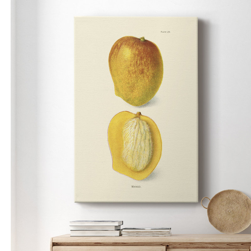 " Mango ", 18" H x 12" W x 1" D