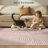 Celeta Washable Abstract Japandi Rainbow Striped Pink Area Rug - Colorful Modern Carpet for Living Room, Bedroom, Nursery or Play Room-1120820791
