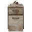 Coraline 42.7cm Wide 2 -Drawer Mobile File Cabinet-26344390