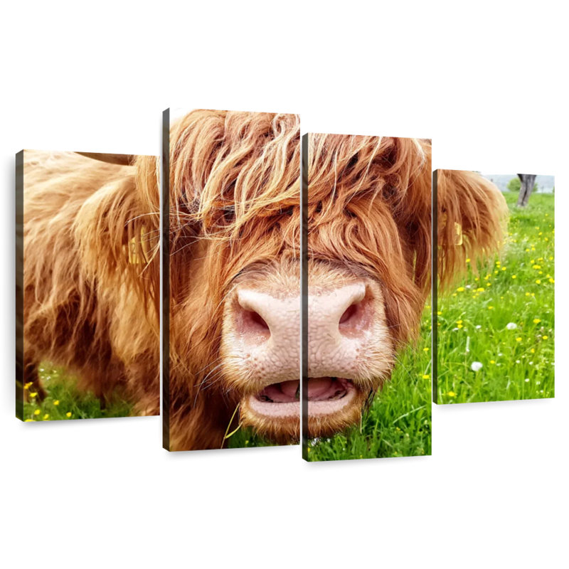 Brampt Long Hair Cow, 42" H x 68" W