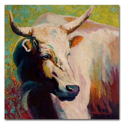 Kucera 'White Bull Portrait' Painting Print on Wrapped Canvas