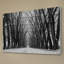 «Rows Of Trees» par Parvez Taj - reproduction de photo non encadrée sur bois-1325904833
