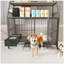 Large Pet Cage With Storage Rack And Stainless Steel Basins, Double-Layer Iron Frame And MDF, Sturdy And Practical (Black+Beige)