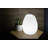 Plug-in Integrated LED Pathway Light