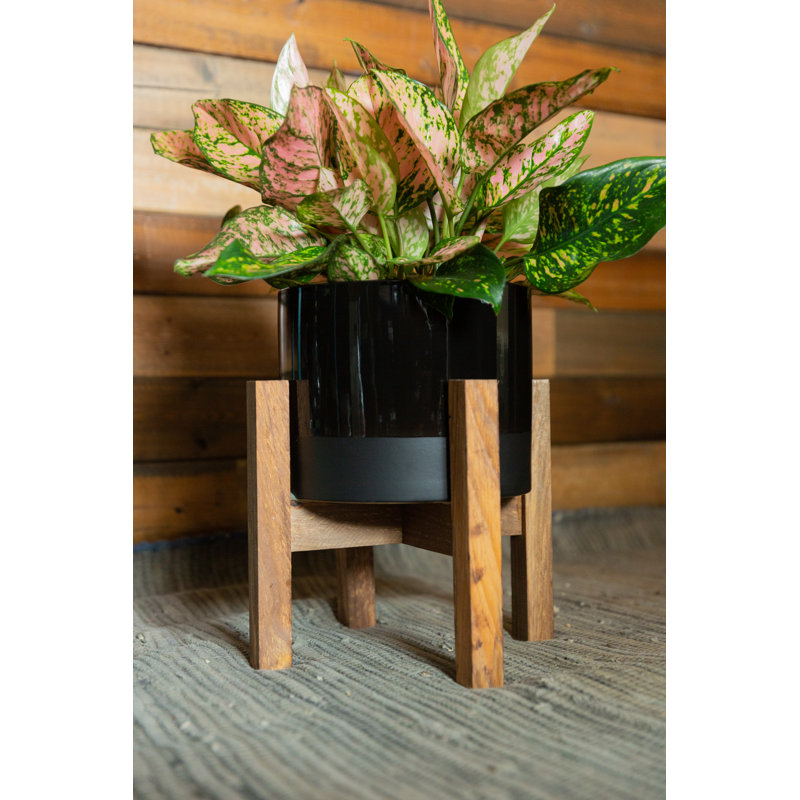 Borquez Handmade Ceramic Pot Planter, Black