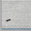 Joelene Geometric Shag Area Rug-2114329176
