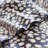 Imaginaire Sateen Animal Print Flat Sheet-101228989