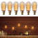 ST64 Light Bulb Dimmable, LED Vintage Edison Bulb, E26 Base, 2000K Amber Light