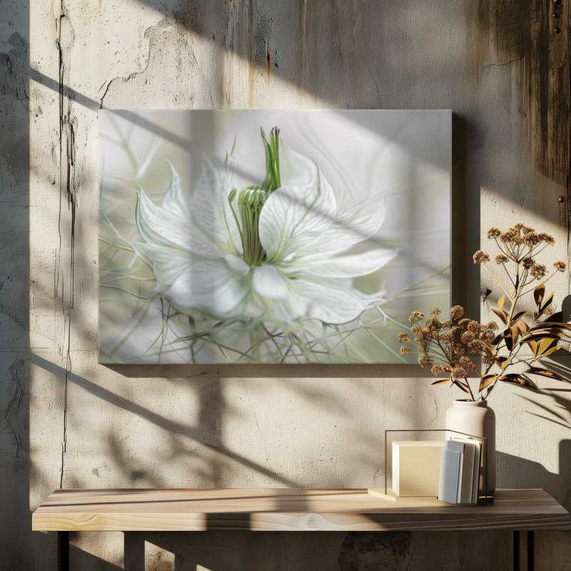 Wrapped Canvas Print, 50.8 cm H x 76.2 cm W